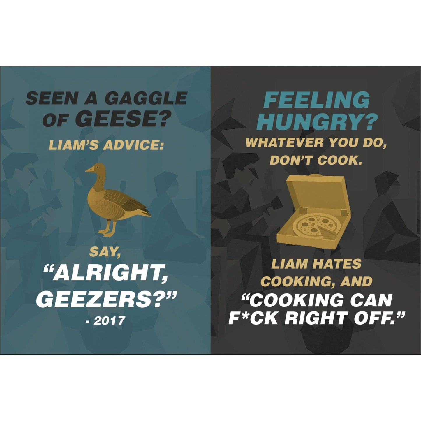 What Would Liam Do? The Unofficial Oasis Gift Book