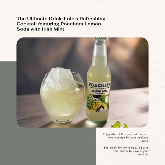 Lolo’s Irish Lemon Mint Vodka Spritz