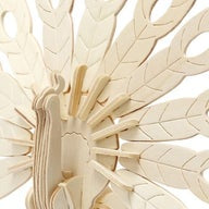 3D Construction: Peacock