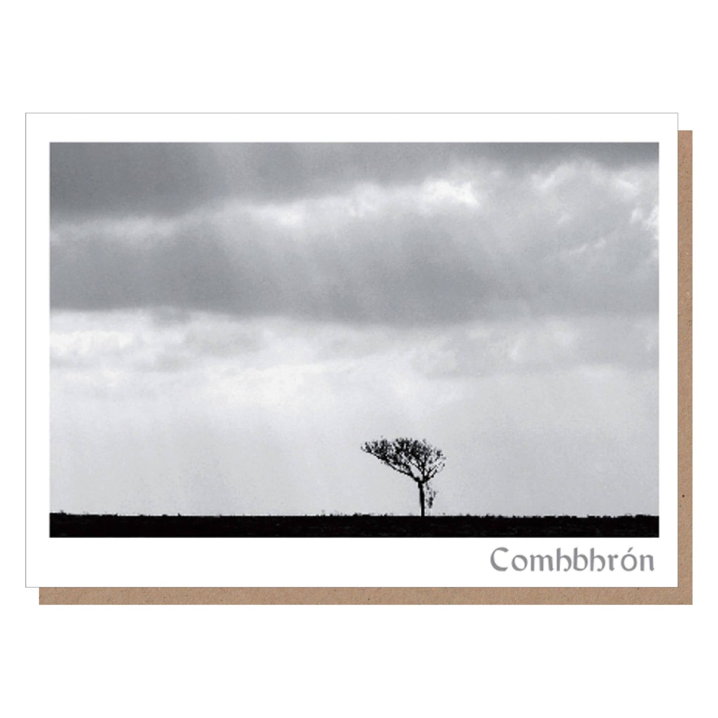 Comhbhrón (Deepest Sympathy) - Burren Photo