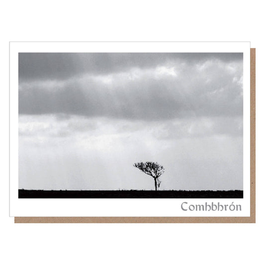 Comhbhrón (Deepest Sympathy) - Burren Photo